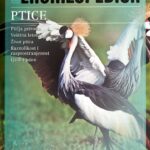 ptice moja enciklopedija
